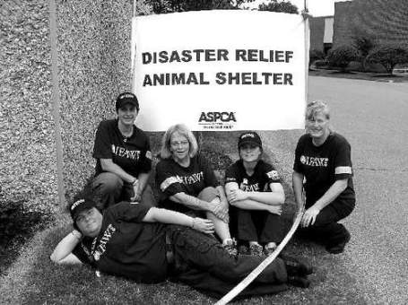 Holly Rogers Five volunteer members of the Cape Cod Disaster Area Response Team went last week to Tennessee to help rescue pets that were lost in the devastating floods there. From left: Nicole Montano, Jane Ferguson, Hanna Lentz, Holly Rogers. in front is Meg Mcdonough Ceratti.